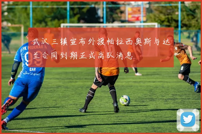 武汉三镇宣布外援帕拉西奥斯与达兰合同到期正式离队消息