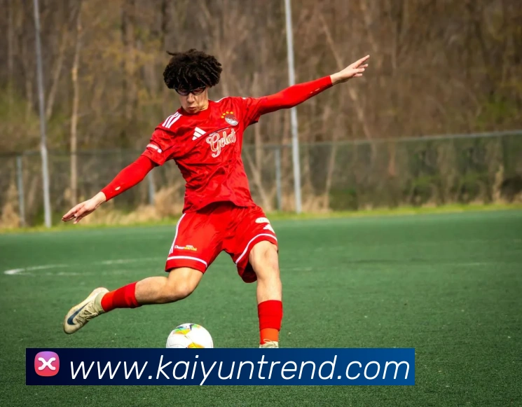 开云体育平台生态图