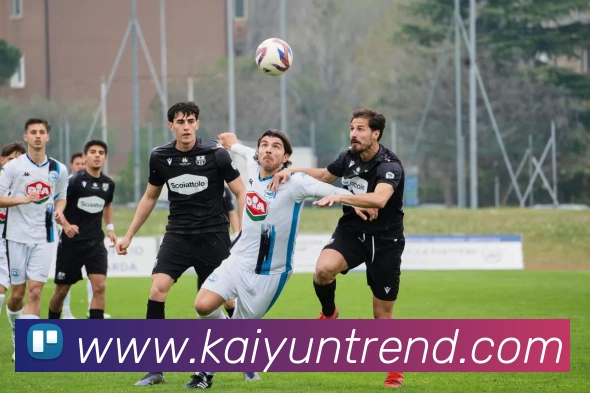 开云体育全站App